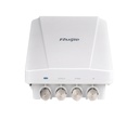 RG-AP630(IDA2)