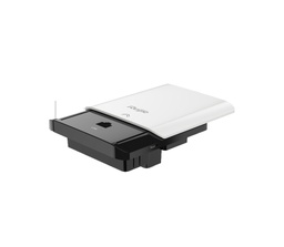 RG-AP110-L