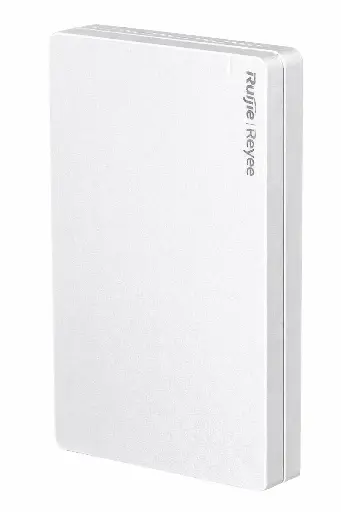 RG-RAP1260(Silver Cover)*10